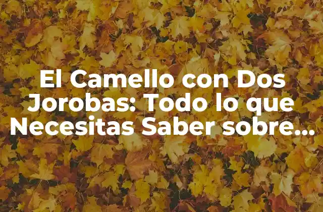 El Camello con Dos Jorobas: Todo Lo que Necesitas Saber sobre Este Fascinante Animal