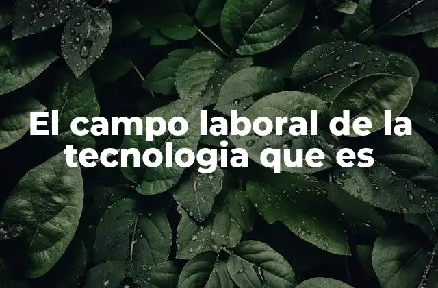 El Campo Laboral de la Tecnologia que es 2 El auge de las profesiones digitales en la economía global