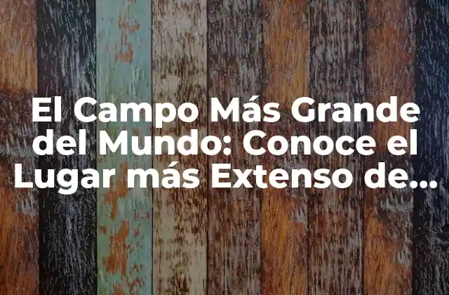 El Campo Más Grande Del Mundo: Conoce el Lugar Más Extenso de la Tierra