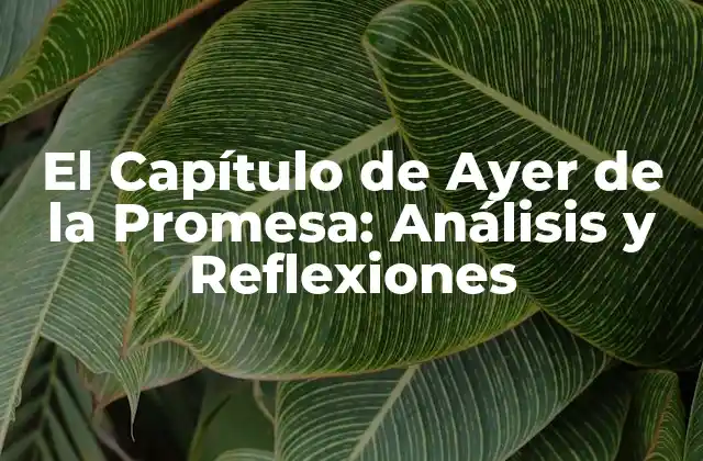 La Trama de El Capítulo de Ayer de la Promesa