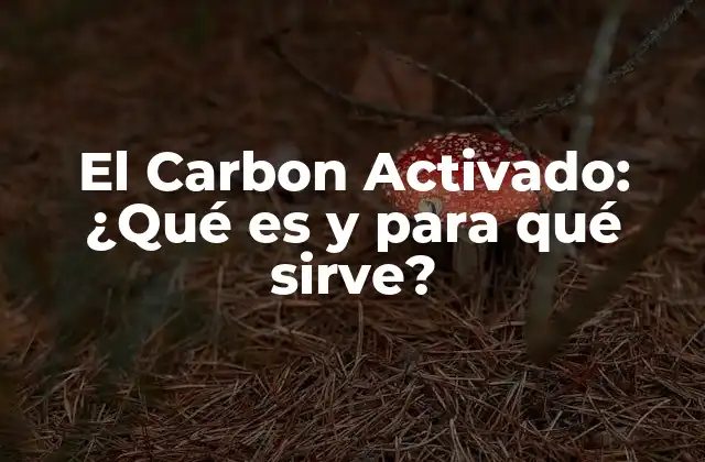 El Carbon Activado: ¿qué es y para Qué Sirve?