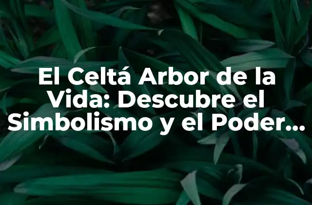 Orígenes y Significado del Celtá Arbor de la Vida
