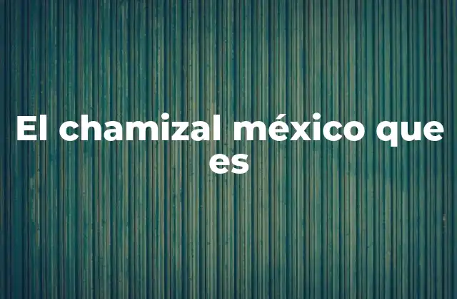 La importancia de El Chamizal en la frontera norte
