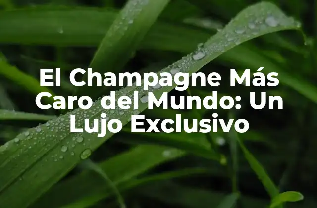 El Champagne Más Caro Del Mundo: un Lujo Exclusivo