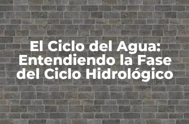 El Ciclo Del Agua: Entendiendo la Fase Del Ciclo Hidrológico