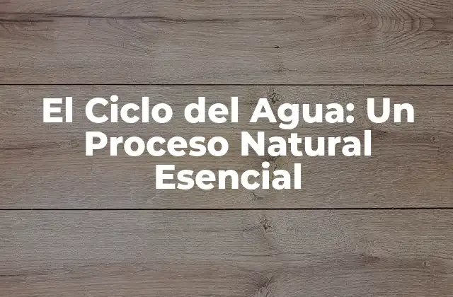 El Ciclo Del Agua: un Proceso Natural Esencial