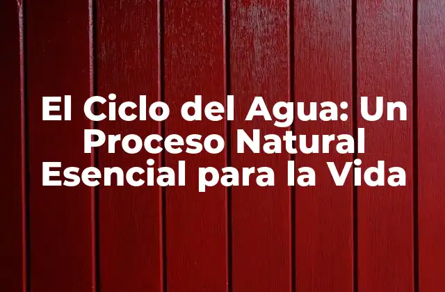 El Ciclo Del Agua: un Proceso Natural Esencial para la Vida