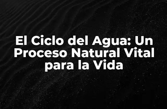El Ciclo Del Agua: un Proceso Natural Vital para la Vida