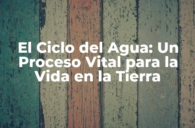 El Ciclo Del Agua: un Proceso Vital para la Vida en la Tierra