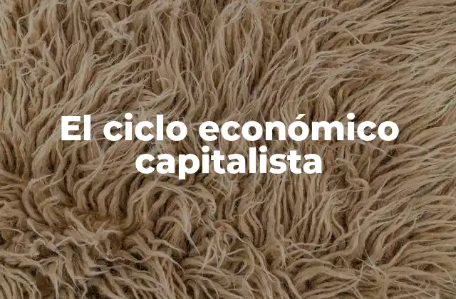 El Ciclo Económico Capitalista