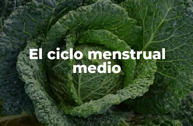 Factores que influyen en el ciclo menstrual medio