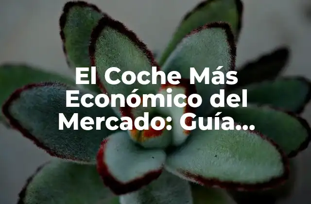 El Coche Más Económico Del Mercado: Guía Definitiva
