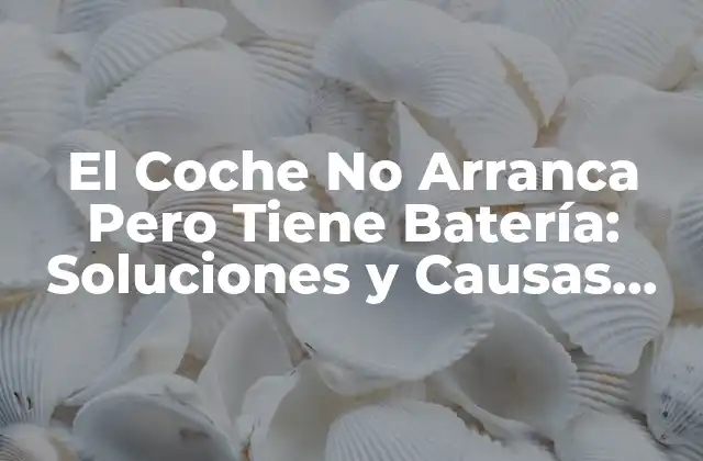 Causas Comunes del Problema