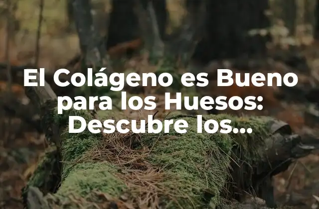 El Colágeno es Bueno para los Huesos: Descubre los Beneficios