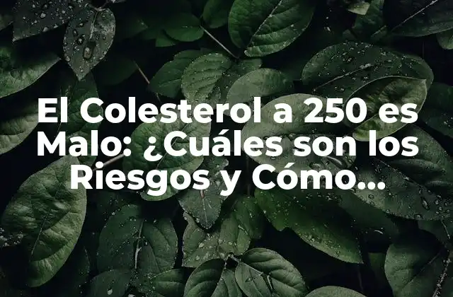 El Colesterol a 250 es Malo: ¿cuáles Son los Riesgos y Cómo Reducirlo?