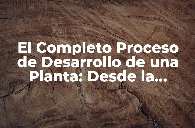 El Completo Proceso de Desarrollo de una Planta: desde la Selección de la Variedad hasta la Producción Industrial