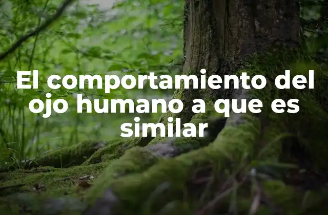 El Comportamiento Del Ojo Humano a que es Similar