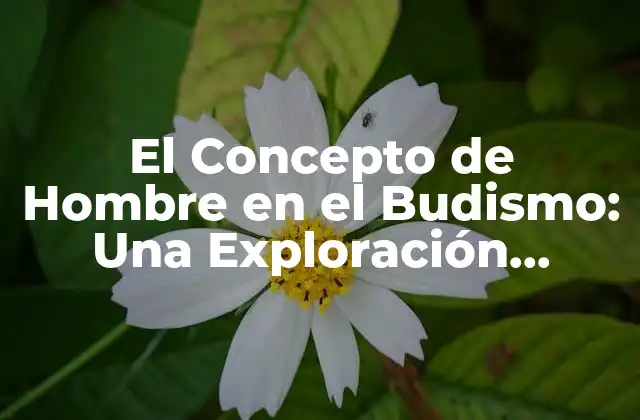 El Concepto de Hombre en el Budismo: una Exploración Profunda