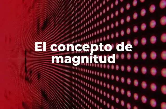 El Concepto de Magnitud
