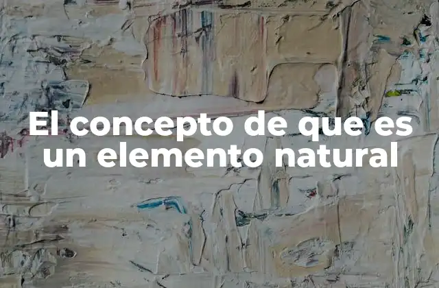 El Concepto de que es un Elemento Natural
