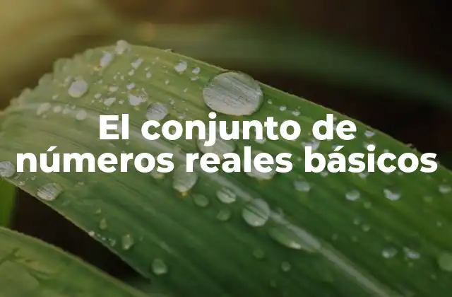 El Conjunto de Números Reales Básicos
