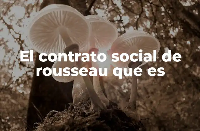 El Contrato Social de Rousseau que es
