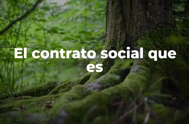 El Contrato Social que es