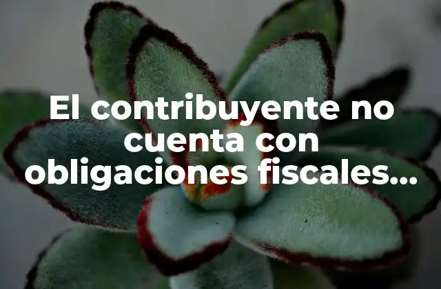 El Contribuyente No Cuenta con Obligaciones Fiscales que es