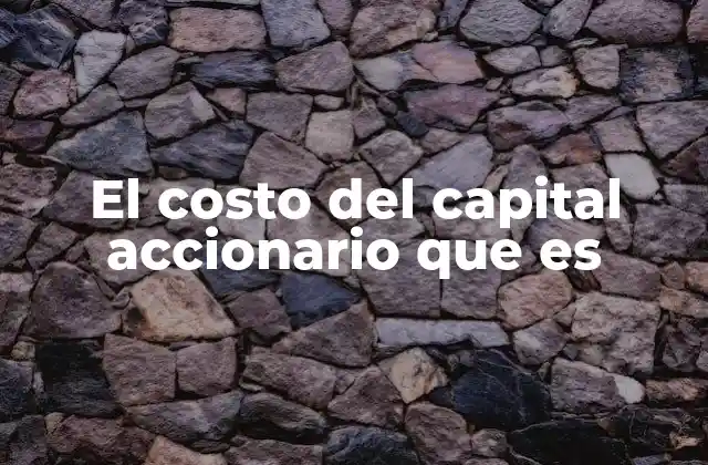 El Costo Del Capital Accionario que es