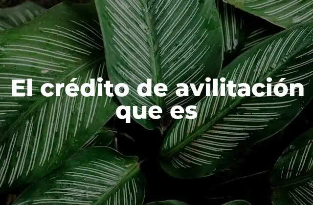 El Crédito de Avilitación que es