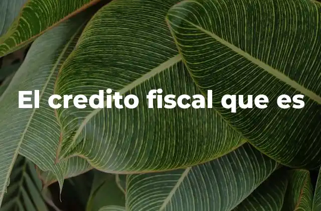 El Credito Fiscal que es