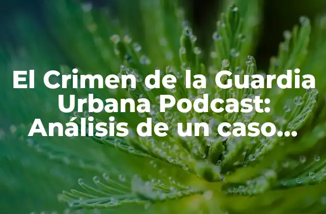 El Crimen de la Guardia Urbana Podcast: Análisis de un Caso Policial Español