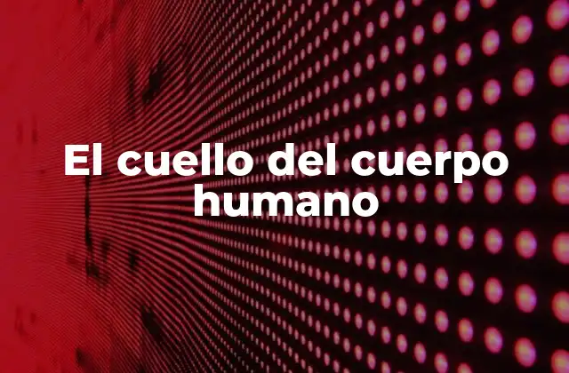 La importancia del cuello en la anatomía humana