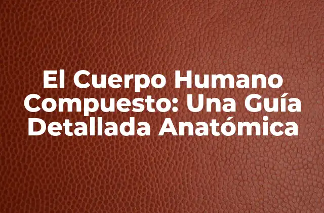 El Cuerpo Humano Compuesto: una Guía Detallada Anatómica