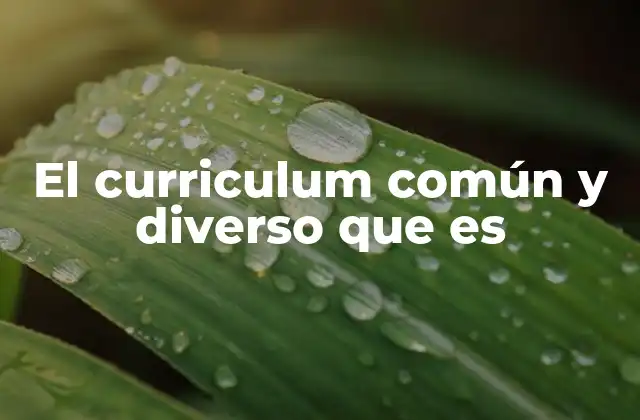El Curriculum Común y Diverso que es