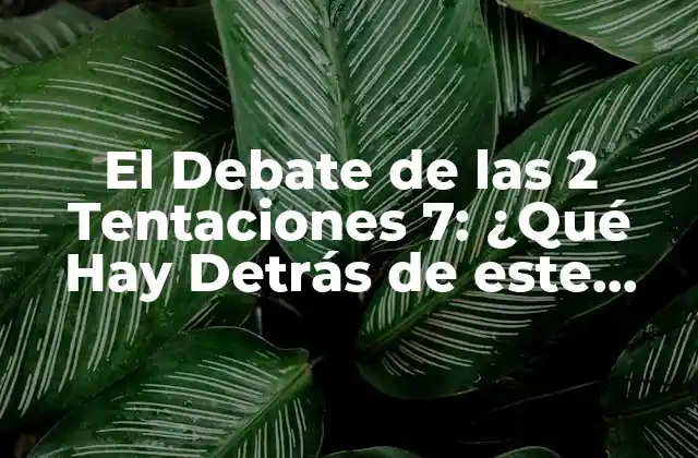 El Debate de las 2 Tentaciones 7: ¿qué Hay Detrás de Este Fenómeno?