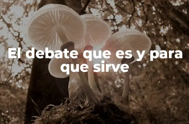 El Debate que es y para que Sirve
