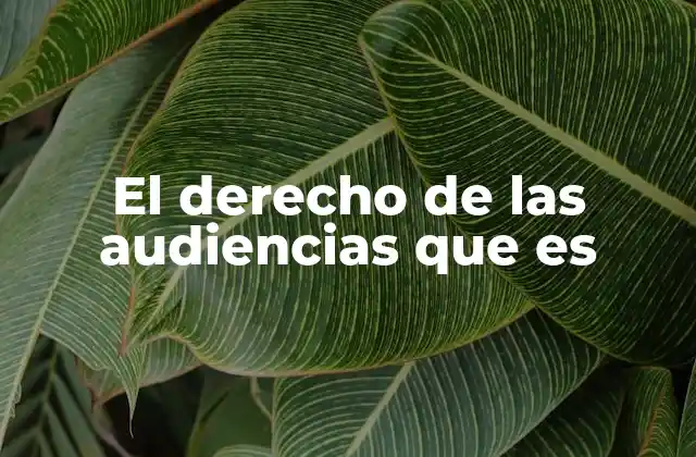 El Derecho de las Audiencias que es