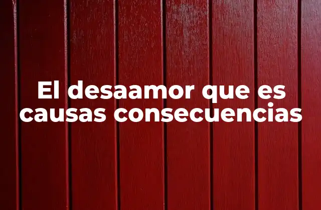 El Desaamor que es Causas Consecuencias
