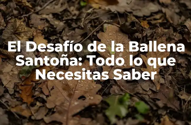 El Desafío de la Ballena Santoña: Todo Lo que Necesitas Saber