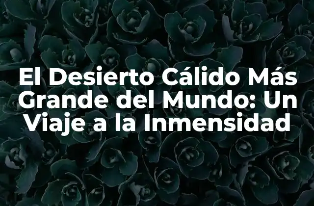 El Desierto Cálido Más Grande Del Mundo: un Viaje a la Inmensidad