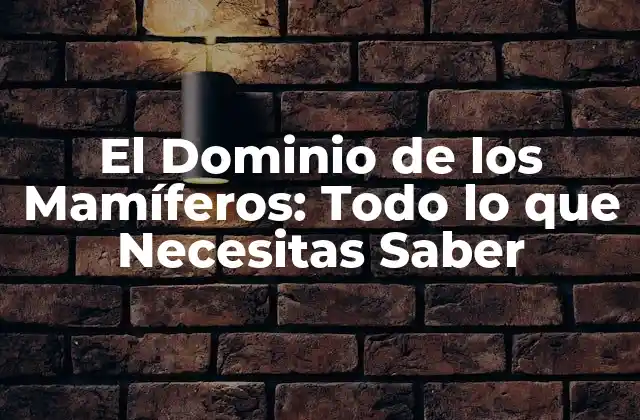 El Dominio de los Mamíferos: Todo Lo que Necesitas Saber