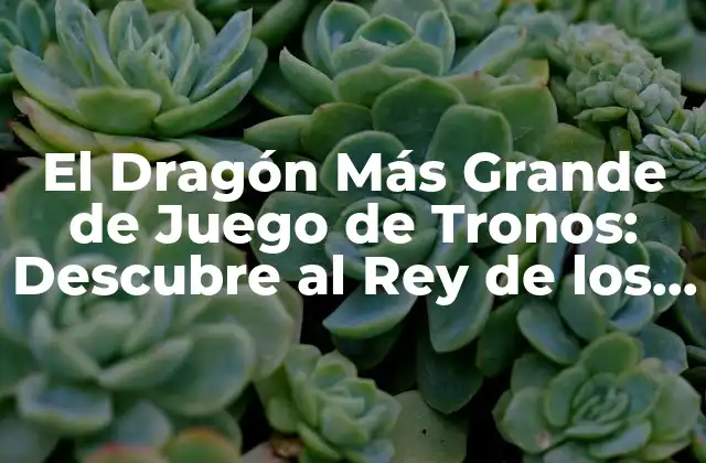 El Dragón Más Grande de Juego de Tronos: Descubre Al Rey de los Cielos