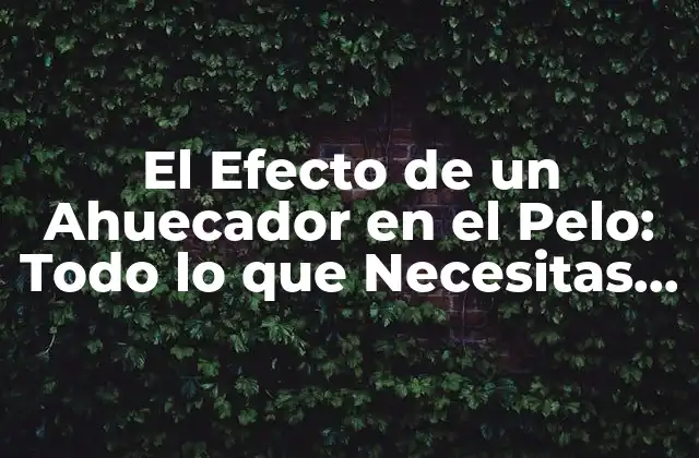 El Efecto de un Ahuecador en el Pelo: Todo Lo que Necesitas Saber