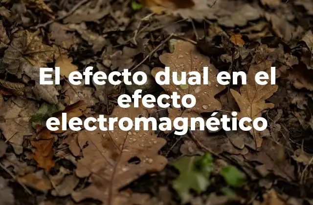 El Efecto Dual en el Efecto Electromagnético
