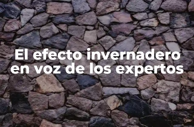 El Efecto Invernadero en Voz de los Expertos