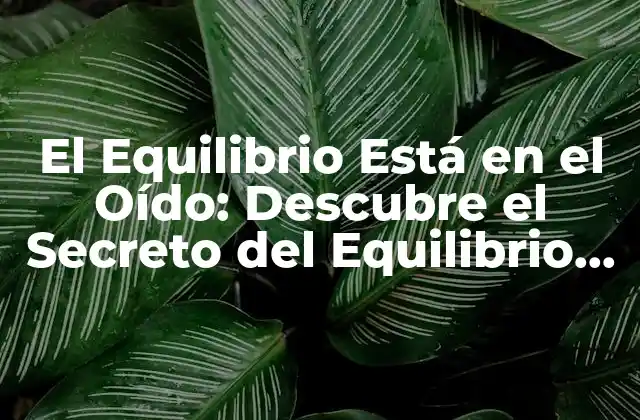 El Equilibrio Está en el Oído: Descubre el Secreto Del Equilibrio Auditivo