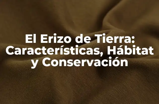 El Erizo de Tierra: Características, Hábitat y Conservación