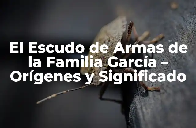 El Escudo de Armas de la Familia García – Orígenes y Significado