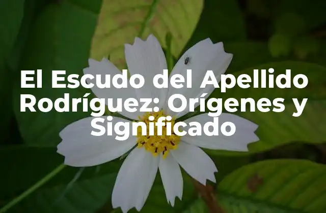 El Escudo Del Apellido Rodríguez: Orígenes y Significado